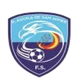 Audidata P. Águila San Javier F.S.