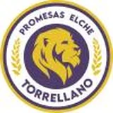 C.F. Promesas Elche 'D'